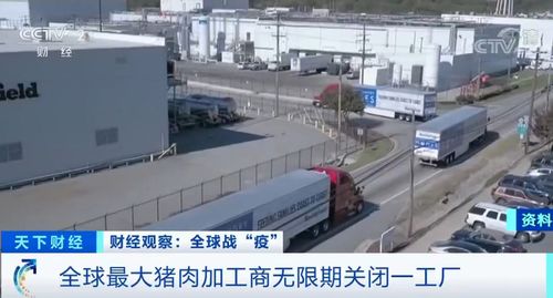 至少238名員工確診新冠肺炎,全球最大豬肉加工商關(guān)閉了一家工廠